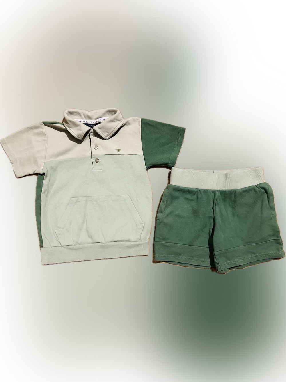 Tahari boy’s green colorblock polo shirt & shorts set size 5